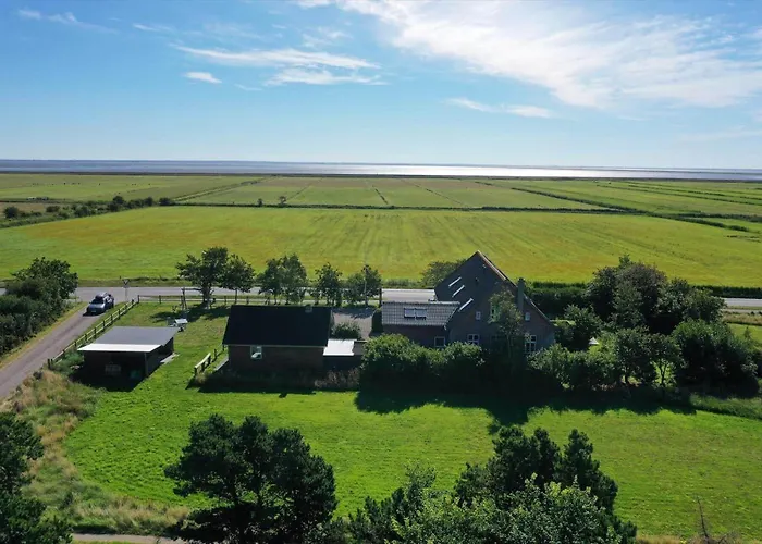 0057-romo-juvrevej-49 *